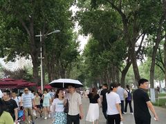 -人民防洪胜利纪念塔