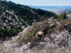 -云峰山自然风景区