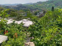 -桃源山庄·水蜜桃采摘·柴火鸡·烧烤团建(龙泉山店)