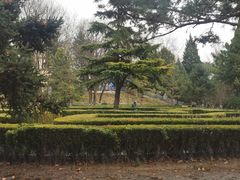 -黄村公园