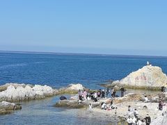 -养马岛旅游度假区