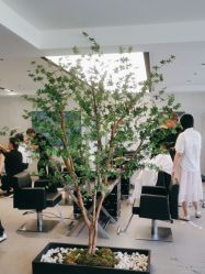 -付军剪艺JF ProSalon