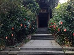 iphone_upload_pic-茂德公草堂