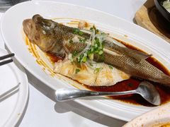 清蒸鲈鱼-眉州东坡(上海中心店)