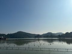-顺峰山公园