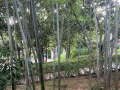 -故乡缘·香格里拉山庄(冷竹路店)