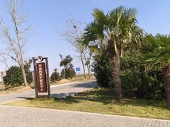 -盐城丹顶鹤湿地生态旅游区