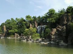 -上海鲜花港