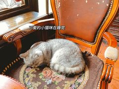 -不舍昼夜咖啡馆