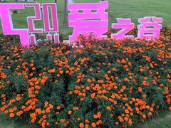 -府河摄影公园