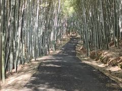 -苏州环秀晓筑养生度假村