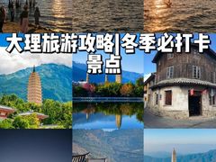 -大理.老字号渝记酸萝卜乌鱼(古城总店)
