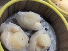 -品泉茶室