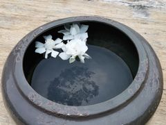 -悦哉·派对·草坪婚礼·围炉煮茶(三圣乡店)