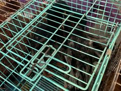 -团泊镇示范集贸市场