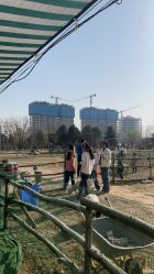 -上美四季动物农场