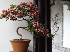 -个园
