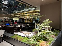 -领鲜天下·焗海鲜·花胶鸡(天目里店)