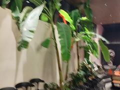 -单家老院·院子里的青岛菜(沙子口店)