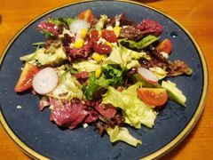 田园时蔬沙拉-布拉格餐厅· 中欧捷克菜(全国首店)