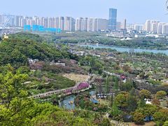 -苏州上方山国家森林公园