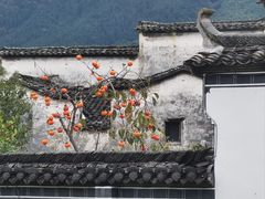 -塔川景区