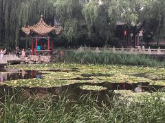 -文瀛公园