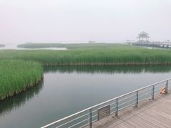 -苏州太湖国际会议中心