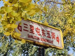 -三里屯东五街银杏大道