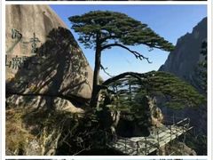 -黄山风景区