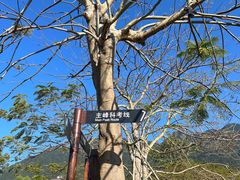 -七娘山