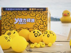 -深圳人才公园