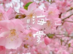 -莫愁湖公园
