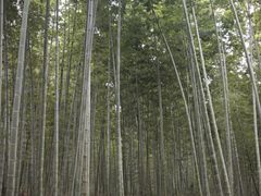 -池州市平天湖风景区