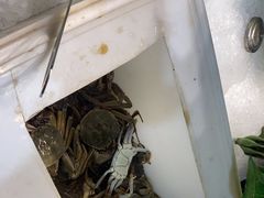-御品海宴海鲜自助餐厅(龙岗万科广场店)