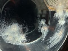 -鹿儿岛水族馆