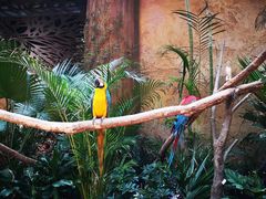 -杭州开元森泊度假乐园