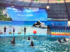 -尼莫海豚馆