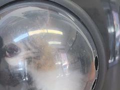 -爱妮康宠物医院·干细胞免疫细胞·肿瘤·心脏(张江店)