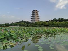 -西安世博园