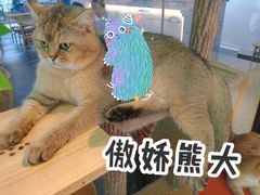 -Promise 国风宠物空间(上邦百汇城店)