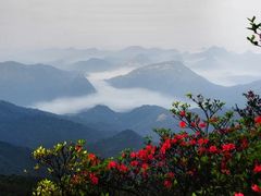 -姑婆山旅游区