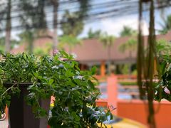 -Onion restaurant
