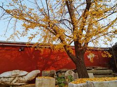 -北京石刻艺术博物馆(五塔寺)