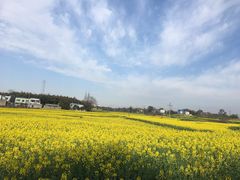 -闻酥园(水碾河路店)