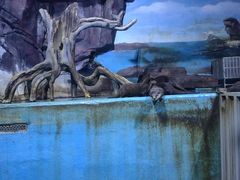 -多彩贵州城极地海洋世界