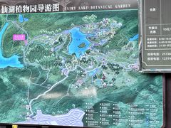 -深圳仙湖植物园