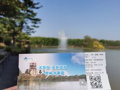 -大湾区中央湿地公园