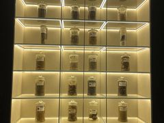 -广东中医药博物馆