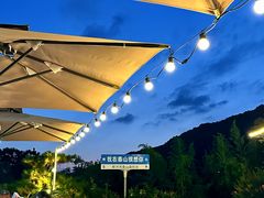 -蘇河湾·新鲁菜·泰山宴(泰山店)